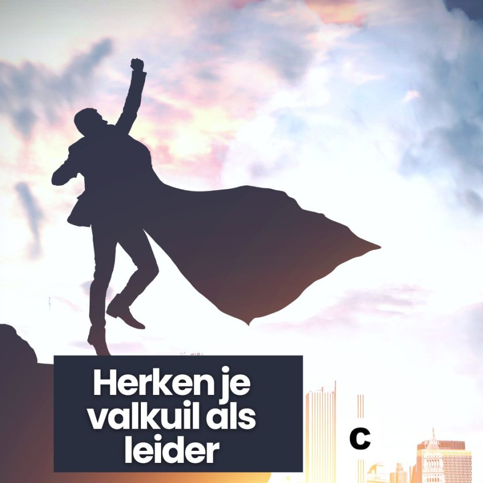 De valkuil van de leider