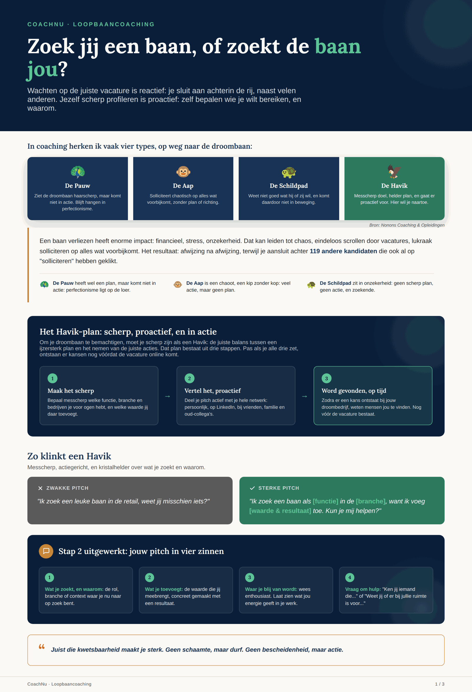 Infographic: Zoek jij een baan, of zoekt de baan jou? De vier profielen Pauw, Aap, Schildpad en Havik, en het Havik-plan in drie stappen.