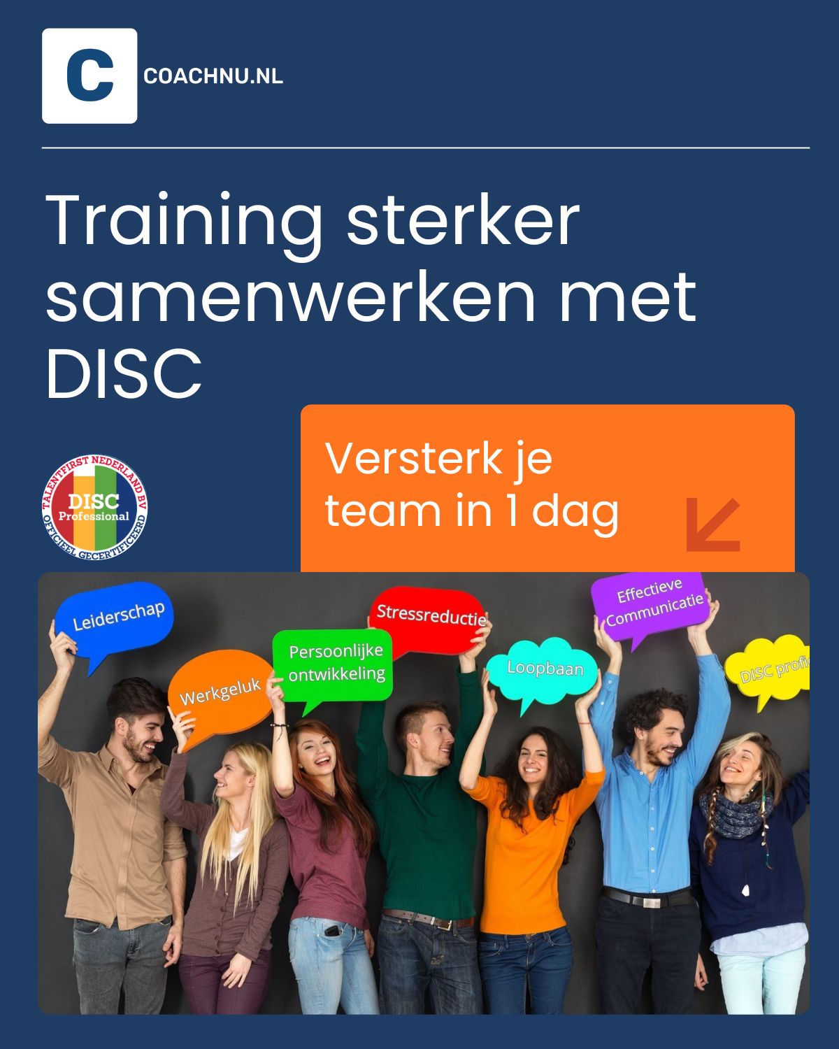 Eendaagse DISC-training